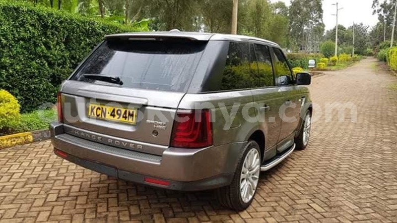 Big with watermark 62411905 2333281180221383 6399740651042242560 n