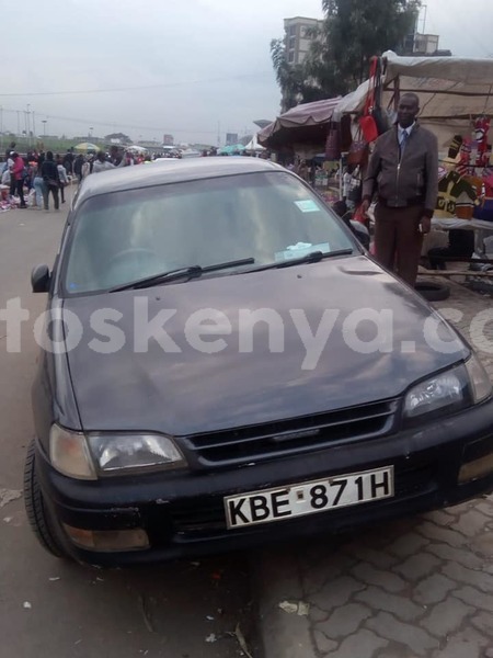 Big with watermark 64433939 2331142280435273 7099292060787671040 n