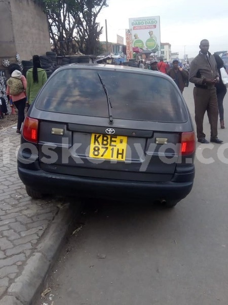 Big with watermark 62310620 2331142313768603 7109797022512709632 n