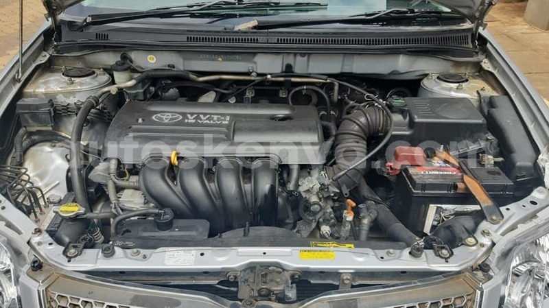 Big with watermark 62014026 2329021563980678 7838330351880503296 n