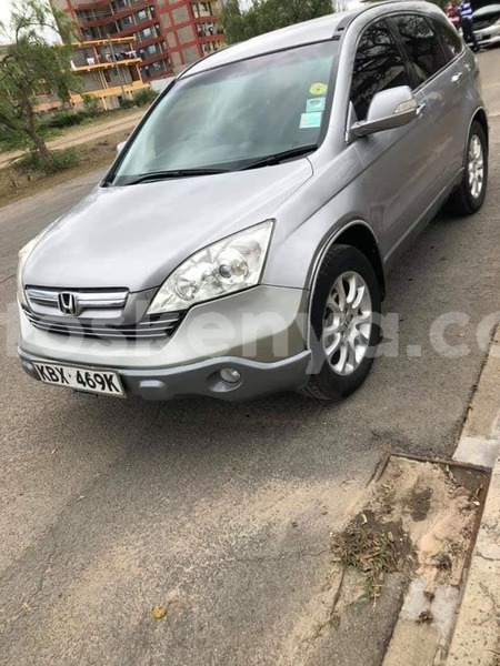 Big with watermark 61957711 2326482774234557 598085959883423744 n