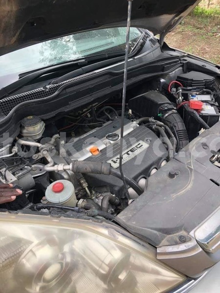 Big with watermark 61899567 2326482850901216 2864873826452242432 n