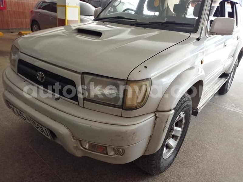 Big with watermark 61605171 2324227014460133 6588024320717488128 n