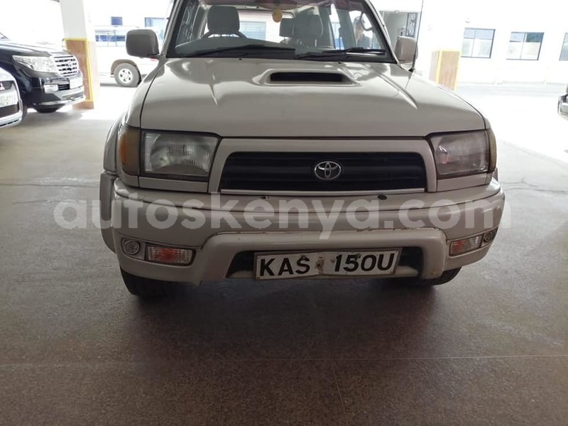 Big with watermark 61636685 2324226991126802 4909528664531533824 n