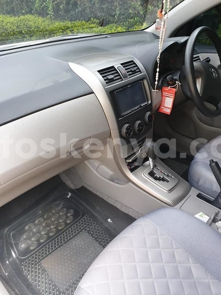 Big with watermark 61498996 2323588297857338 543291235272491008 n