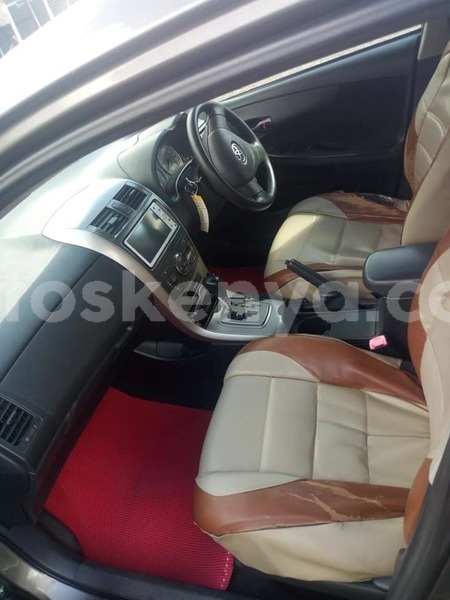 Big with watermark 60935947 2319767078239460 4498846795085905920 n