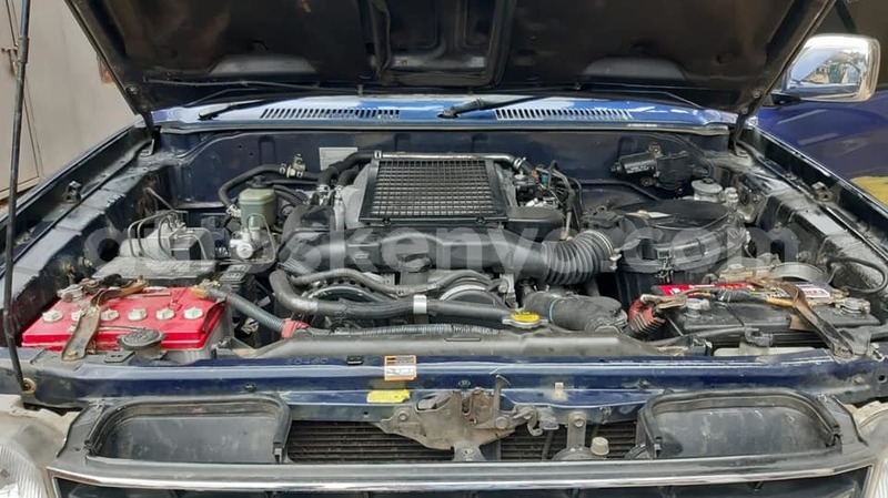 Big with watermark 60888230 2318183541731147 6247606269398482944 n