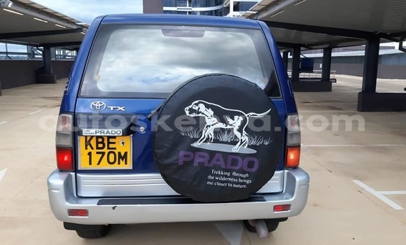 Nunua Ilio tumika Toyota Land Cruiser Prado Bluu Gari ndani ya Nairobi nchini Nairobi Nunua Ilio tumika Toyota Land Cruiser Prado Bluu Gari ndani ya Nairobi nchini Nairobi