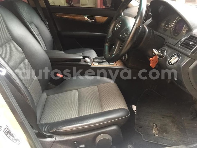 Big with watermark 60242620 2312817065601128 5251203199943049216 n