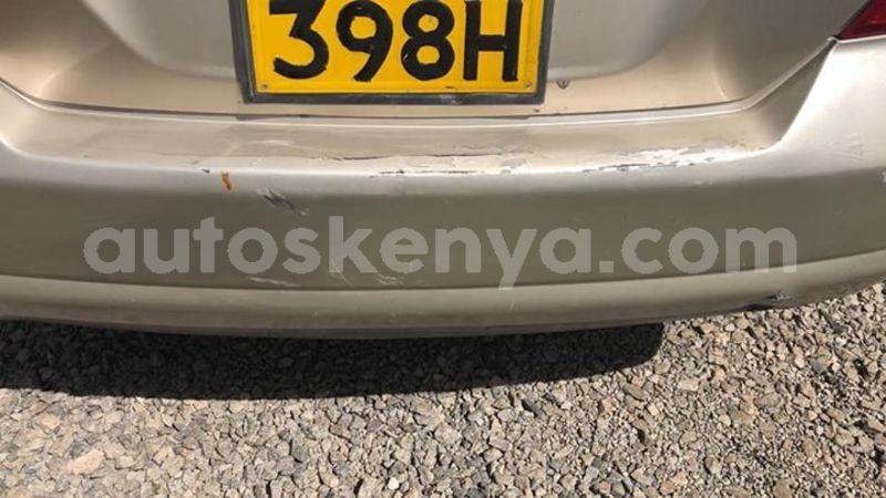 Big with watermark 64279777 2275640526021065 3156291068337586176 n