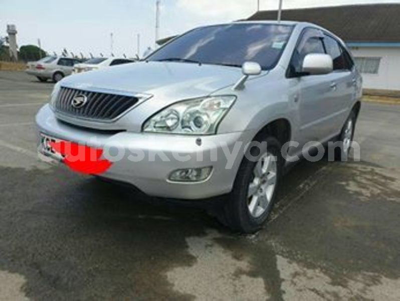 Big with watermark 57083511 2164296016980033 7380498335754354688 n