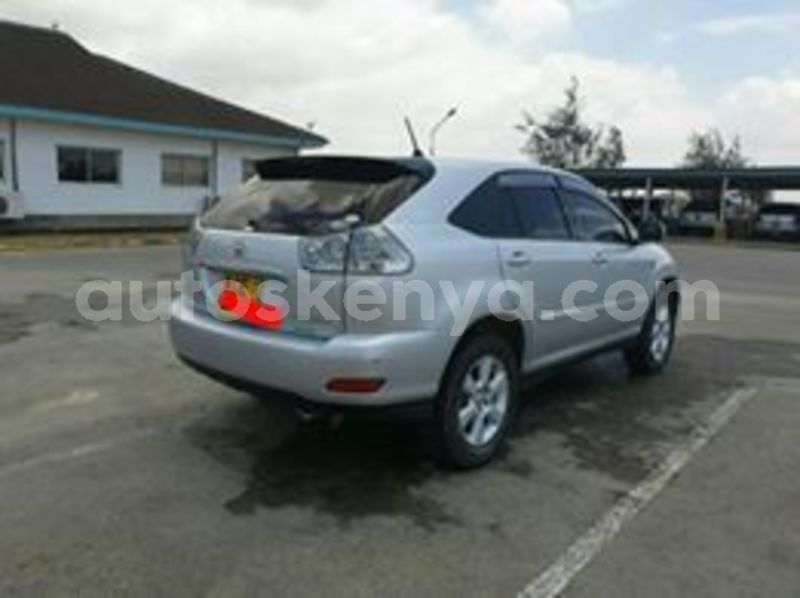 Big with watermark 57840041 2164296256980009 6059017639865352192 n