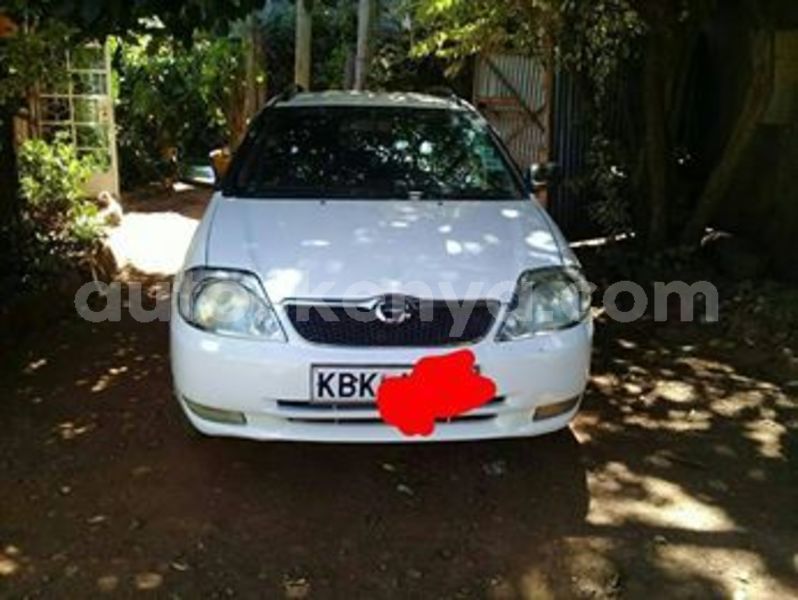 Big with watermark 56595421 2148469505229351 8252257301046493184 n