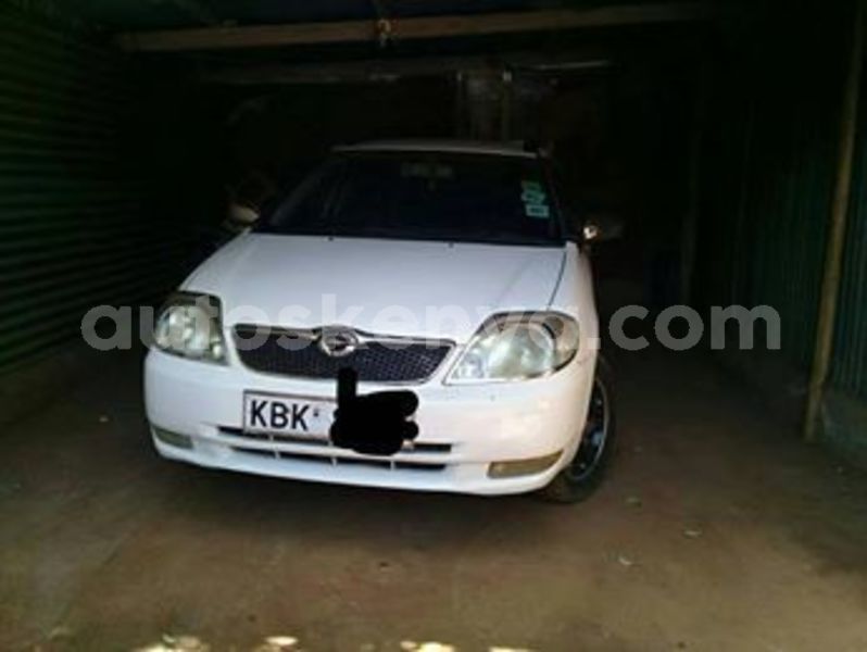 Big with watermark 56398271 2148469561896012 6856529557051146240 n