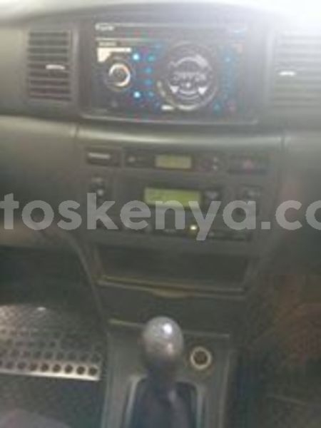 Big with watermark 56498656 2148469598562675 4447915977673277440 n