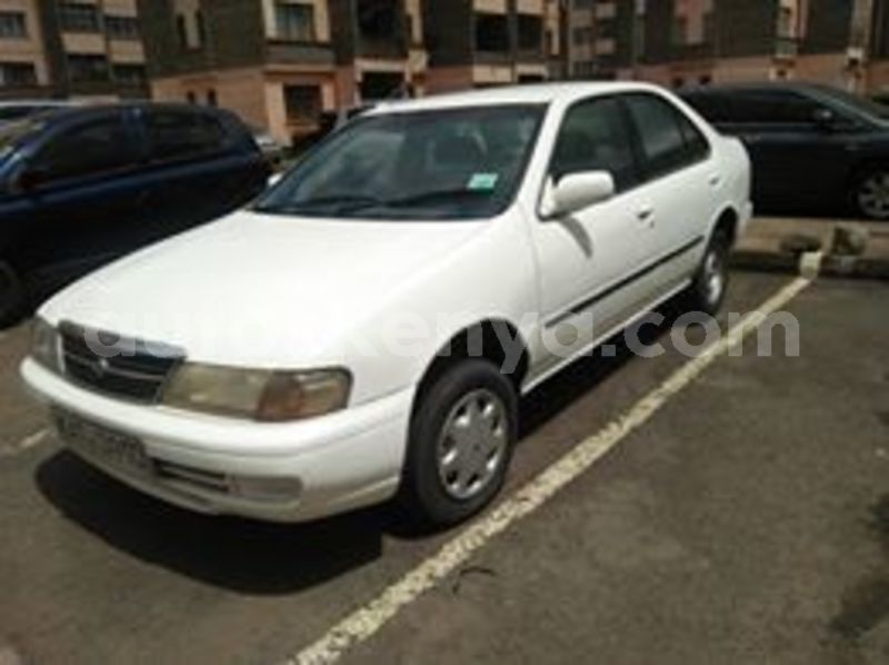 Big with watermark 65793030 1973032439467749 1738521728272826368 n