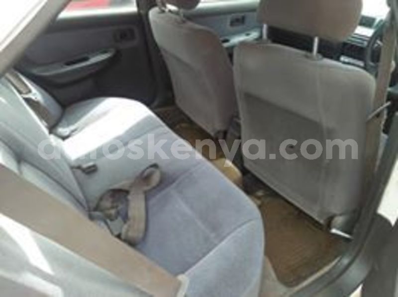 Big with watermark 66024269 1973032306134429 7568233782919036928 n