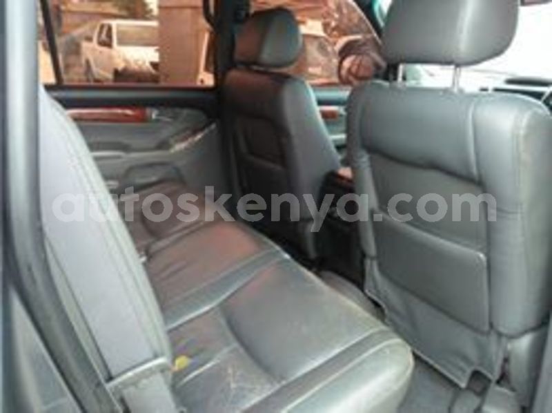 Big with watermark 65694540 1972761236161536 8817240547820306432 n