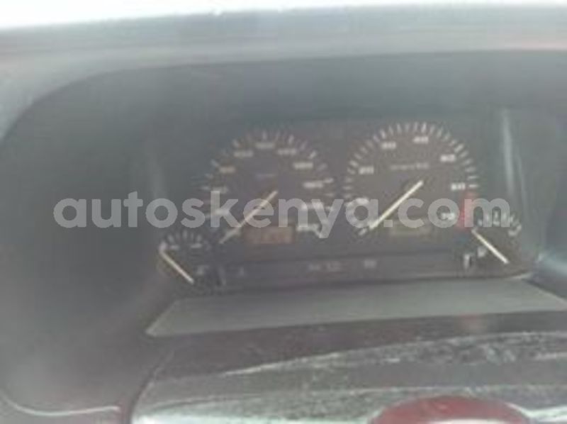 Big with watermark 65960841 1972240879546905 7209934270918295552 n