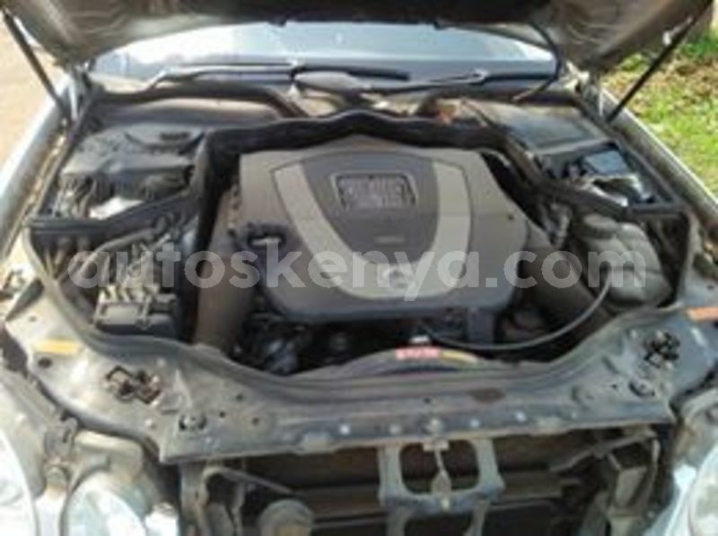 Big with watermark 65471876 1971219396315720 3454053381373427712 n