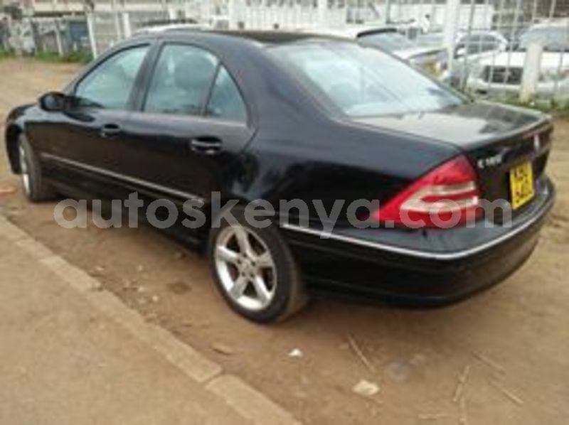 Big with watermark 65903570 1970075156430144 6573799122745163776 n