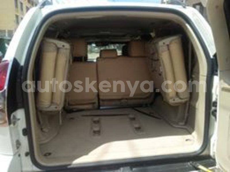 Big with watermark 65677246 1969793309791662 3056190000736501760 n