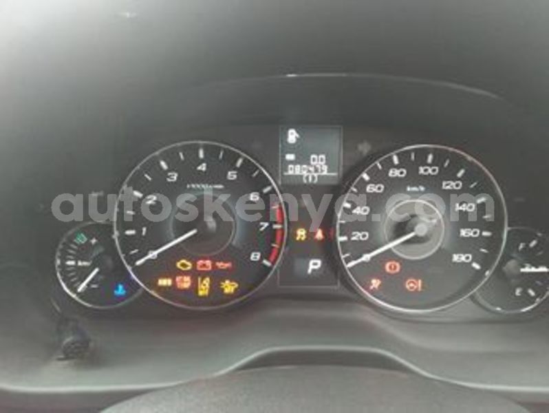 Big with watermark 65483810 1969601916477468 960460691473432576 n