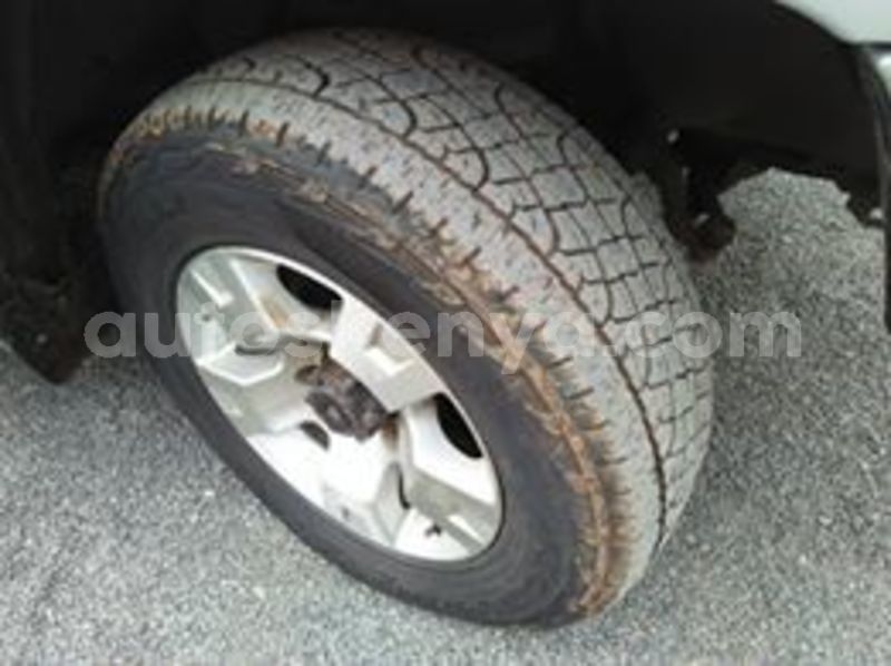 Big with watermark 64932025 1950804485023878 7748204719486533632 n