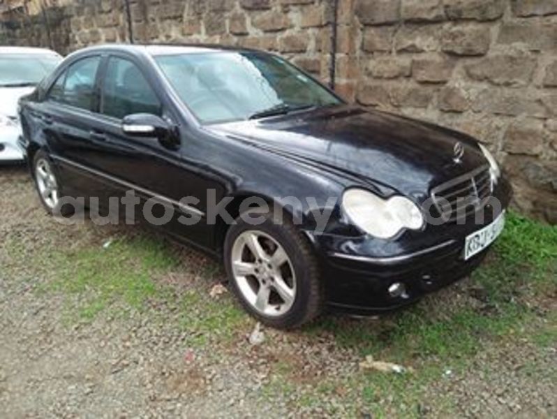 Big with watermark 64591037 1946824402088553 4027115934077419520 n