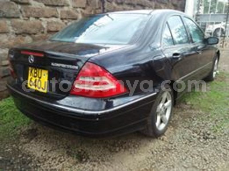 Big with watermark 64227796 1946824595421867 5192693577729179648 n