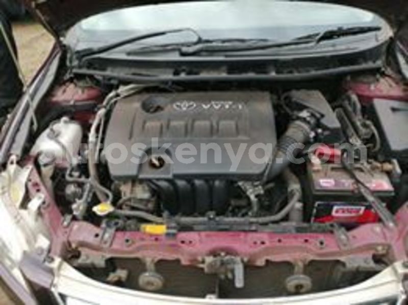 Big with watermark 64515399 2392348454137755 1581216498062458880 n