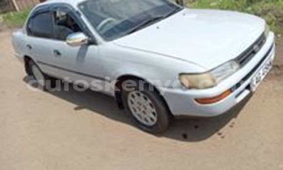 Oofamaa Toyota Corolla Silver Makiinaa iti Nairobi keessatti Nairobi keessatti Oofamaa Toyota Corolla Silver Makiinaa iti Nairobi keessatti Nairobi keessatti