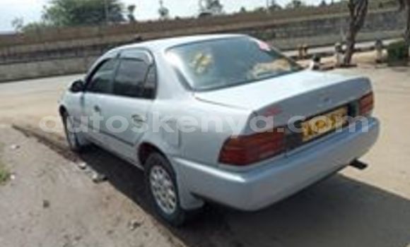 Oofamaa Toyota Corolla Silver Makiinaa iti Nairobi keessatti Nairobi keessatti Oofamaa Toyota Corolla Silver Makiinaa iti Nairobi keessatti Nairobi keessatti