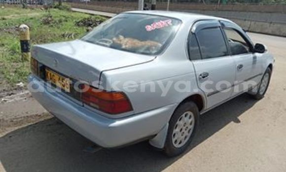 Oofamaa Toyota Corolla Silver Makiinaa iti Nairobi keessatti Nairobi keessatti Oofamaa Toyota Corolla Silver Makiinaa iti Nairobi keessatti Nairobi keessatti