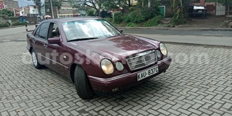 Big with watermark 60653597 2341601625879105 3576408225018281984 n