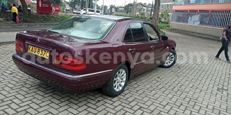 Big with watermark 60735705 2341601649212436 8422582797629128704 n