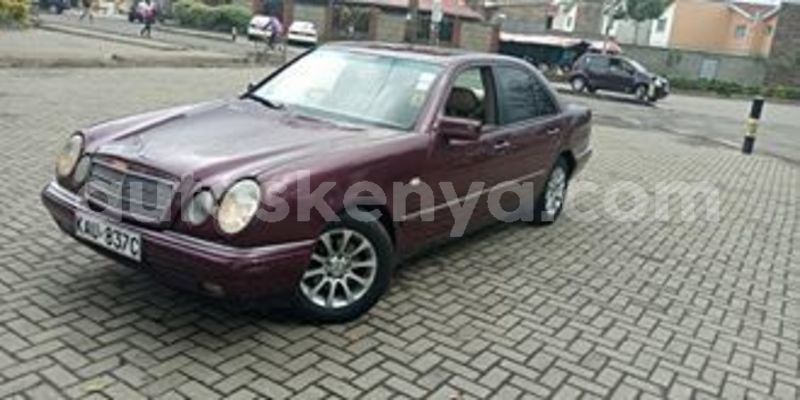 Big with watermark 60516576 2341601722545762 2593777470708645888 n