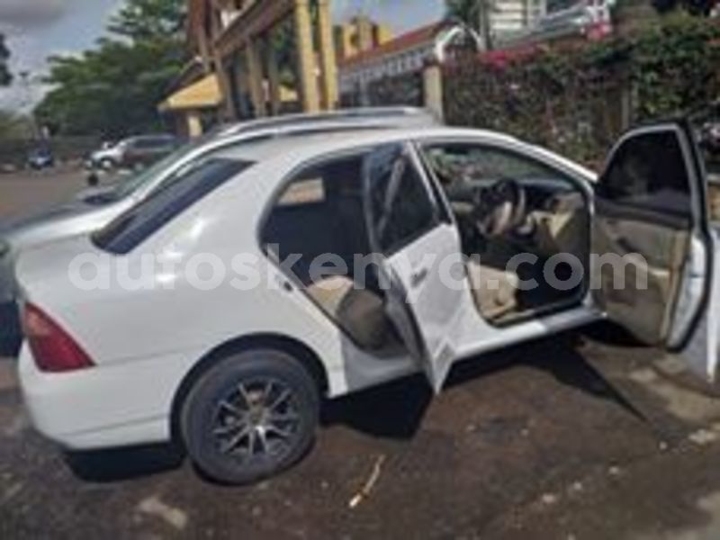 Big with watermark 59229998 2317519271620674 7436033053165617152 n