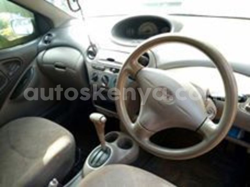 Big with watermark 60007853 2680830632143181 5047205035205722112 n