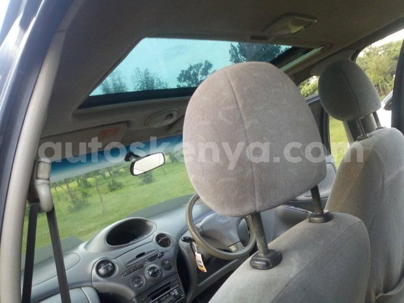 Big with watermark 66500441 1252978171544899 2262553174843850752 n