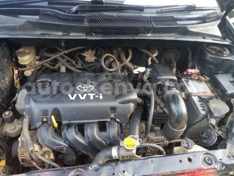 Big with watermark 66426146 1252977874878262 3627940784528949248 n