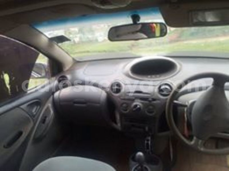 Big with watermark 66210855 1246531825522867 1537075023217426432 n