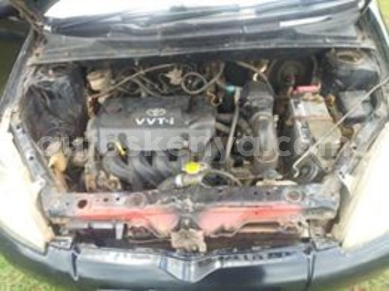 Big with watermark 65925687 1246531778856205 2095951926007955456 n