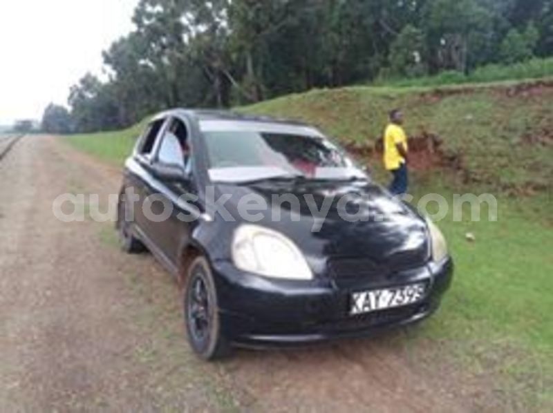 Big with watermark 66390577 1246531728856210 4395449645027819520 n