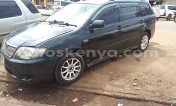 Buy Used Toyota Fielder Black Car in Eldoret in Rift Valley Buy Used Toyota Fielder Black Car in Eldoret in Rift Valley