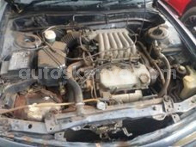 Big with watermark 64684493 1234789060030477 2002962941996957696 n