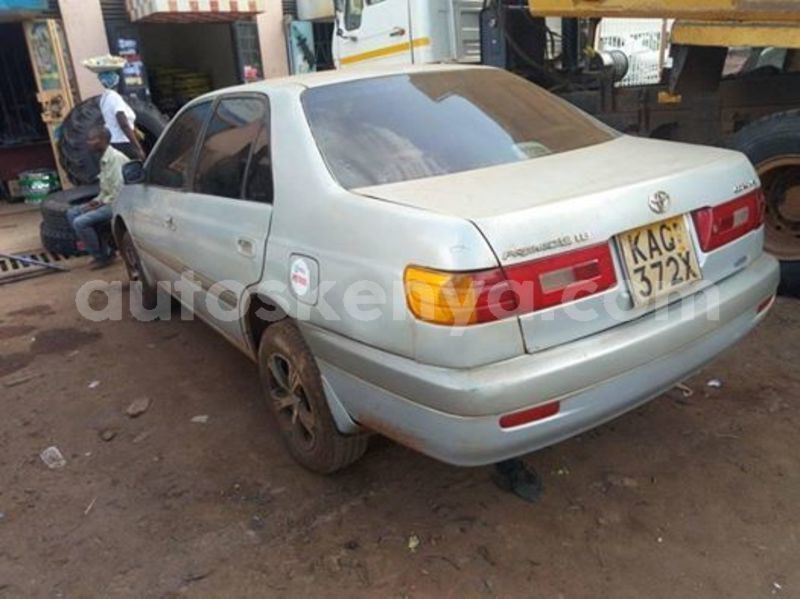 Big with watermark 64520628 1234786443364072 4995670280966766592 n