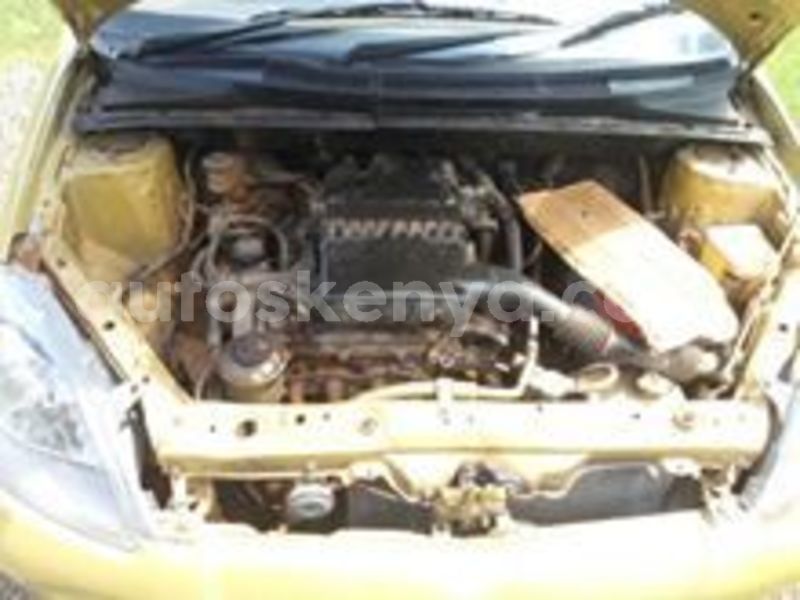 Big with watermark 64320341 1226586004184116 4410075206966575104 n