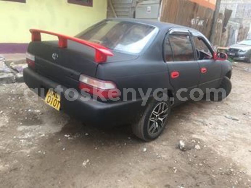 Big with watermark 66455118 1622184907917905 5617933092795711488 n