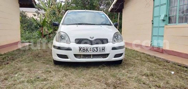 Big with watermark 66374930 1622170087919387 601926712913035264 n